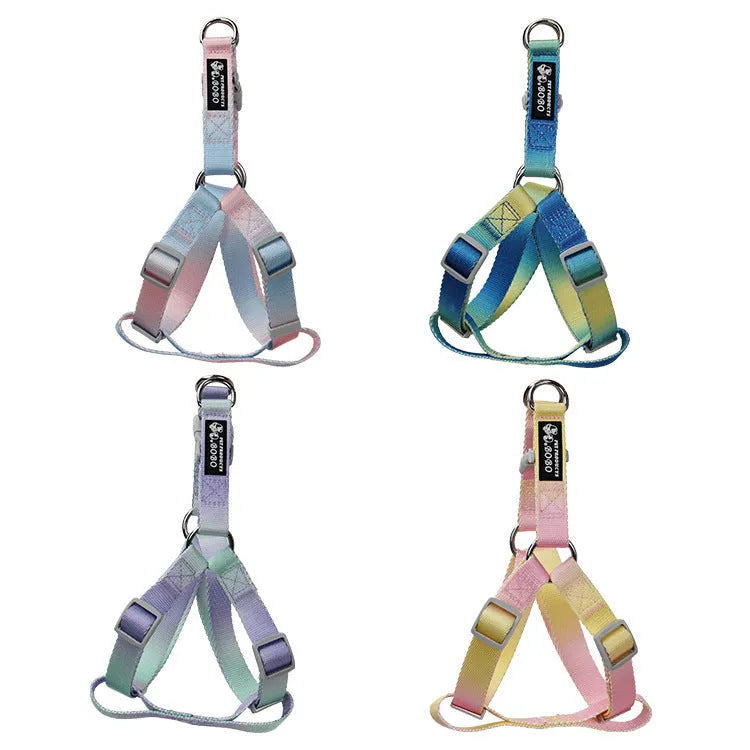 Nylon dog leash set showing gradient colour options including pink blue yellow purple green patterns