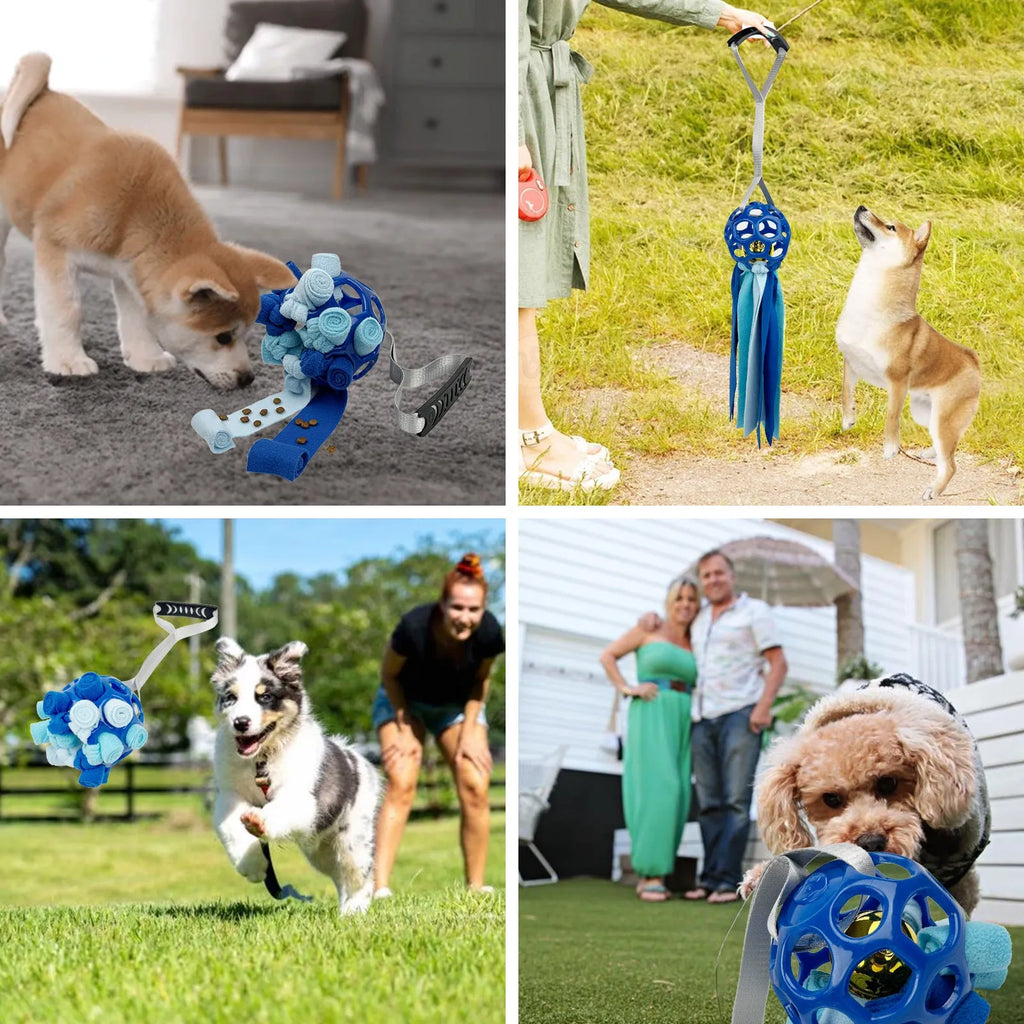 TPR hollow interactive toy ball with sound bell for dogs and cats in assorted colours.