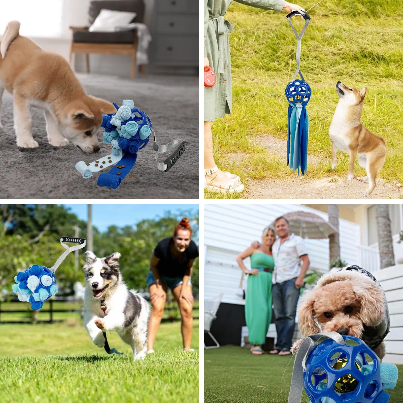 TPR hollow interactive toy ball with sound bell for dogs and cats in assorted colours.