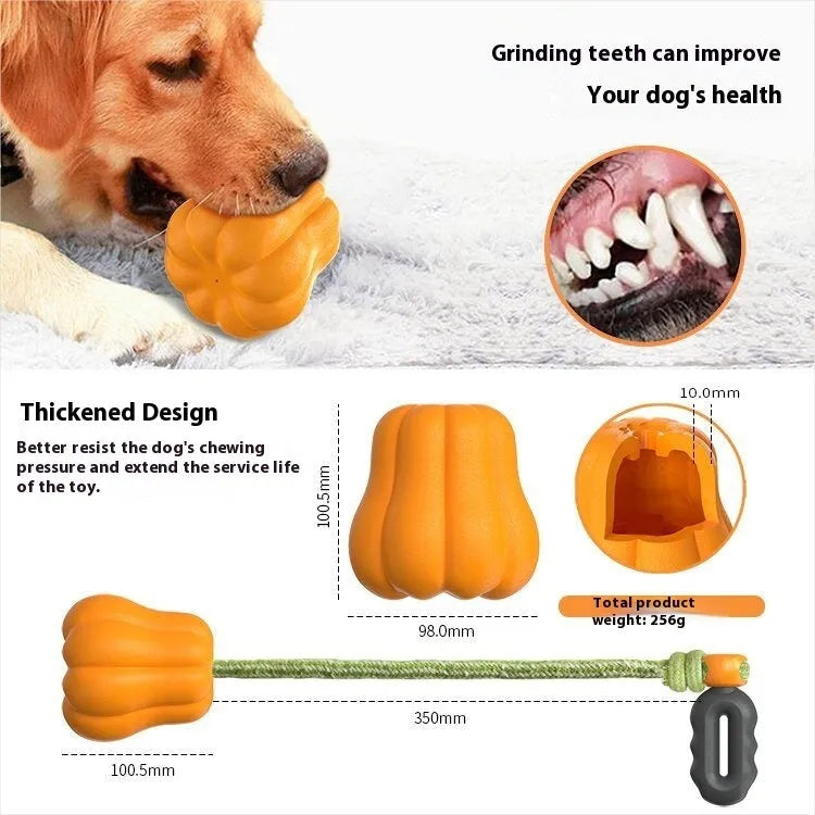 Orange pumpkin-shaped plastic dog ball with a blue rope handle for fetch and tug