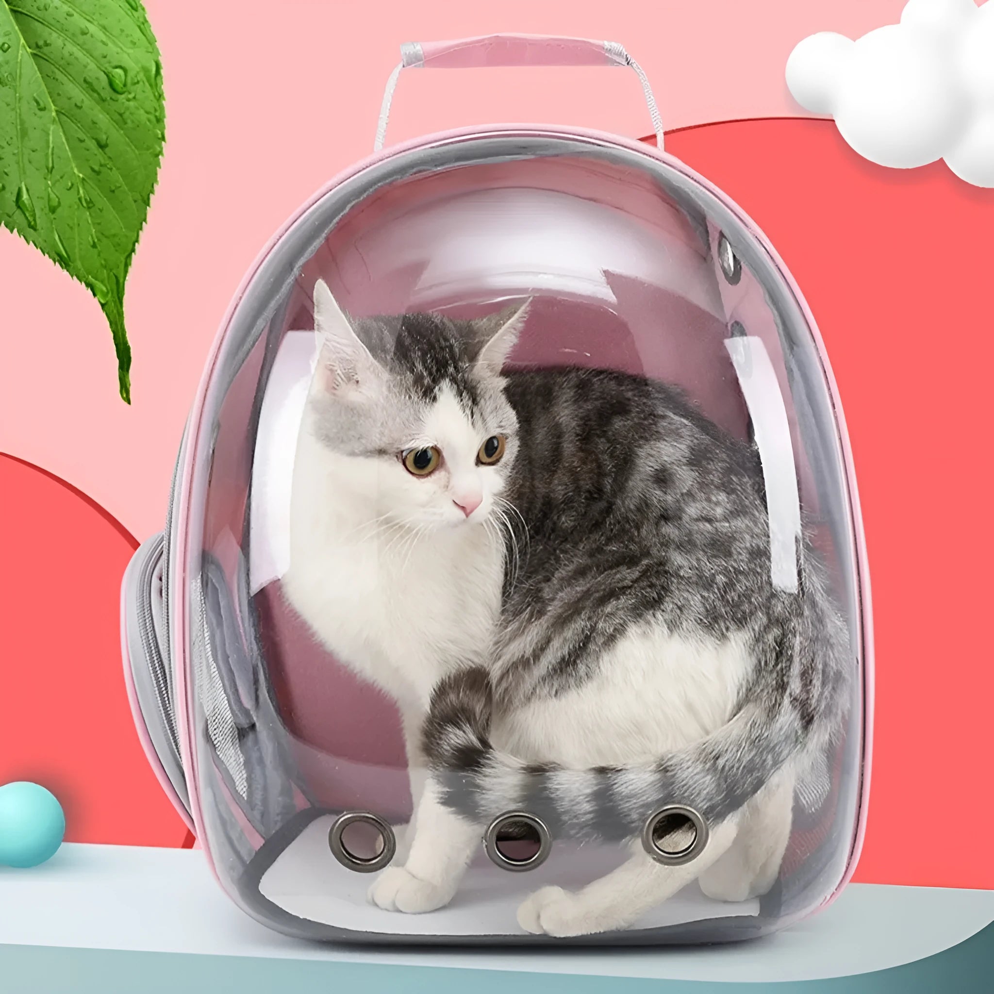 Medium-hard PC pet space bag with side opening in a solid colour, suitable for cats and small dogs.