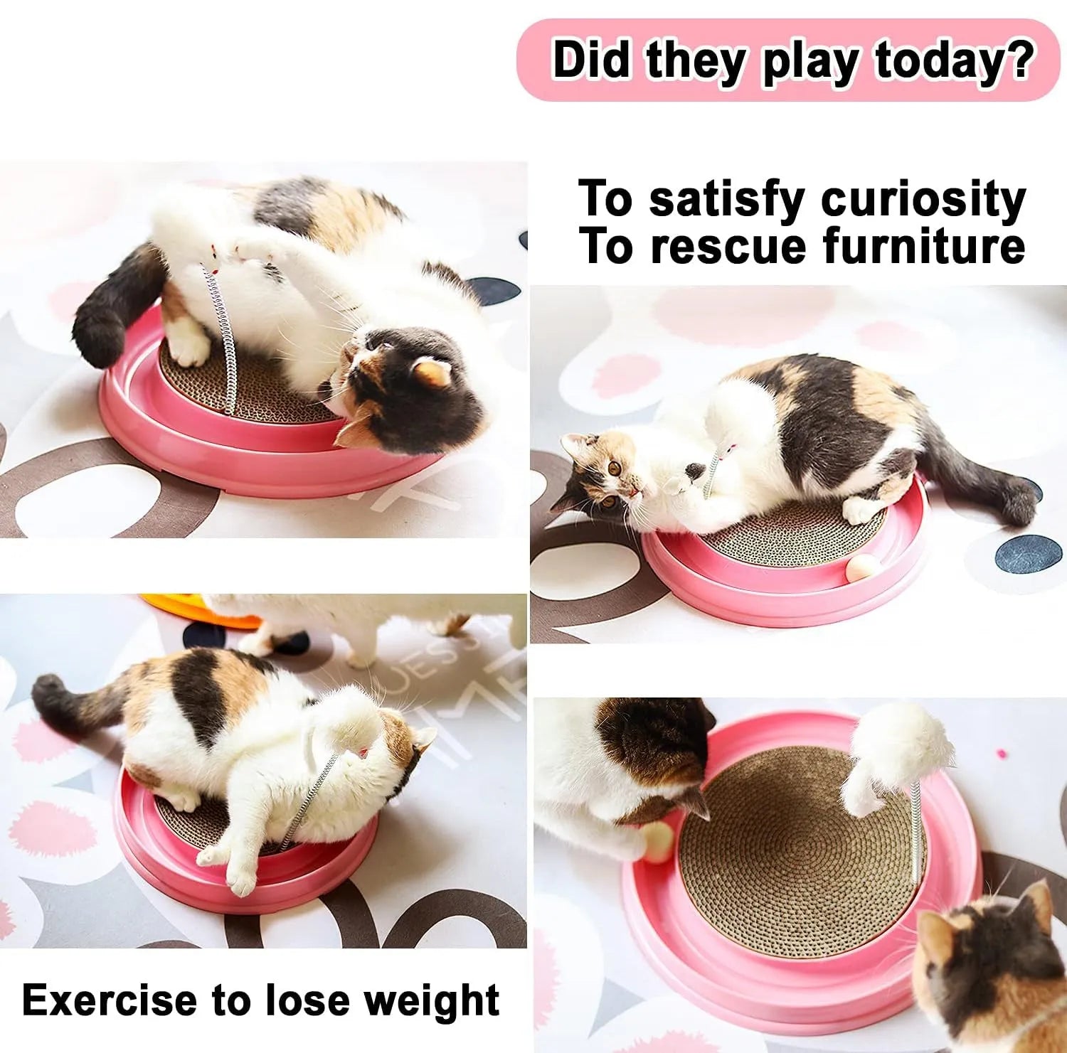 Circular cat scratcher toy with replaceable centre pad and ball track channel