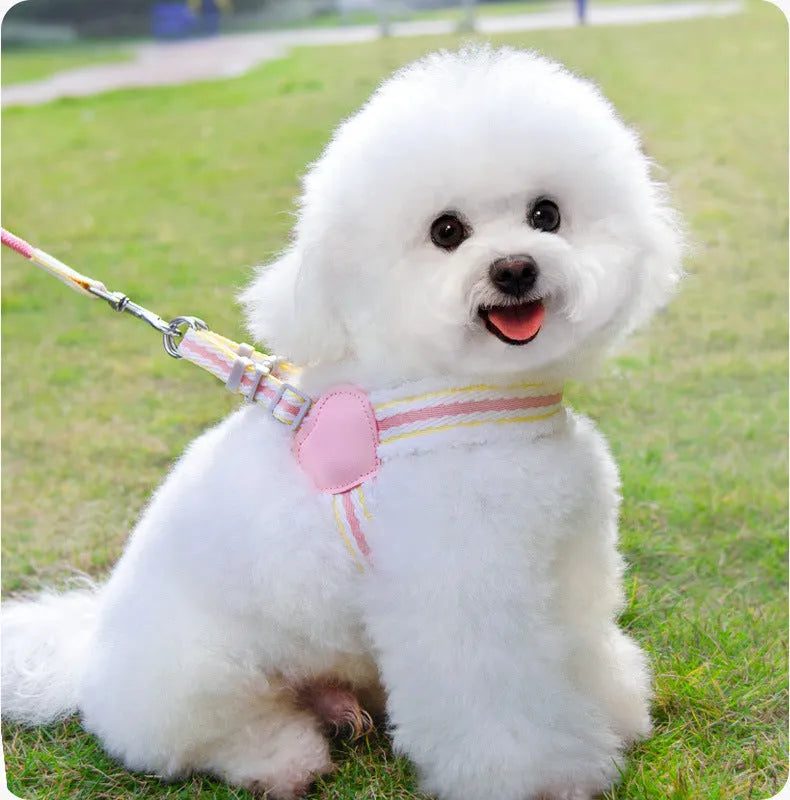 Blue breathable chest vest dog leash 1.5m for small medium dogs like Corgi Shiba Inu Bichon