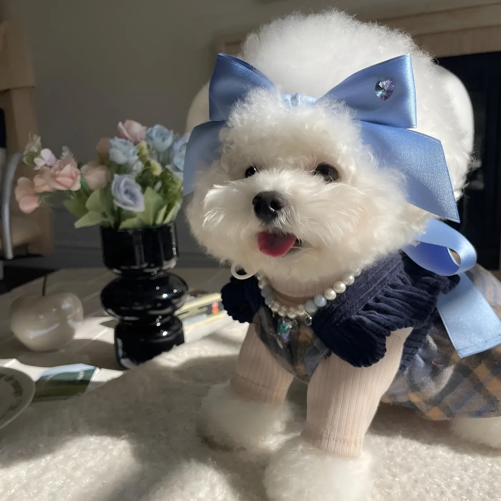 Adjustable bow tension dog hair band in polyester cotton with free size 25-40cm fit