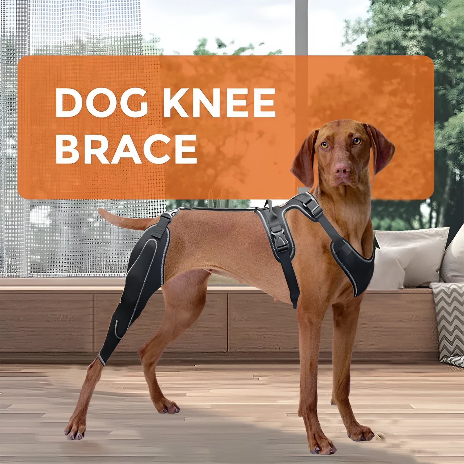 Black dog thigh protective sleeve with adjustable metal support frame for postoperative recovery