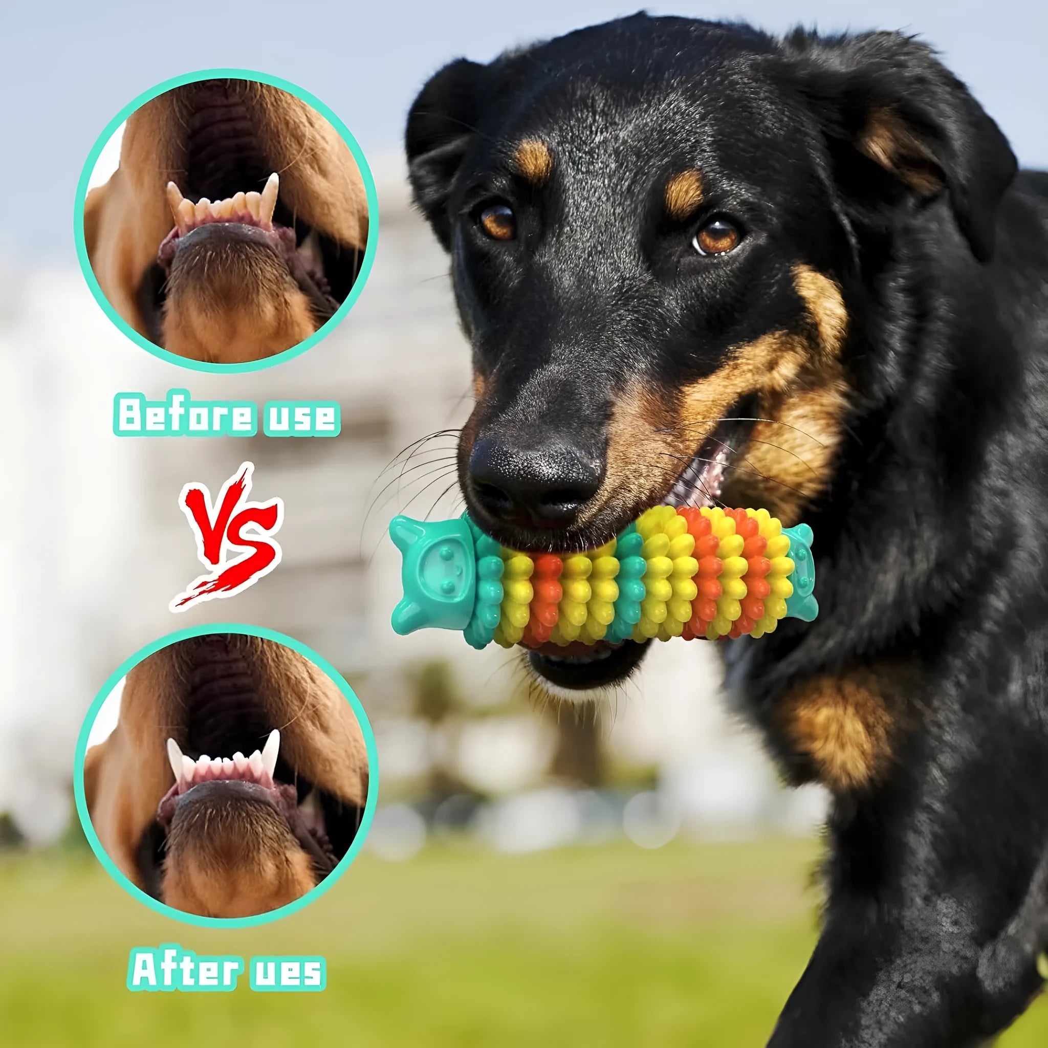 Blue rubber caterpillar-shaped dog chew toy for aggressive chewers on a plain background.
