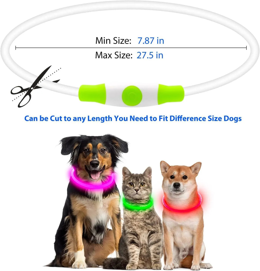 USB rechargeable LED dog collar showing blue illuminated light and adjustable 70cm TPU strap