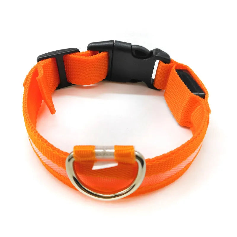 Anti-lost luminous dog collar nylon webbing with battery option in blue colour on white background
