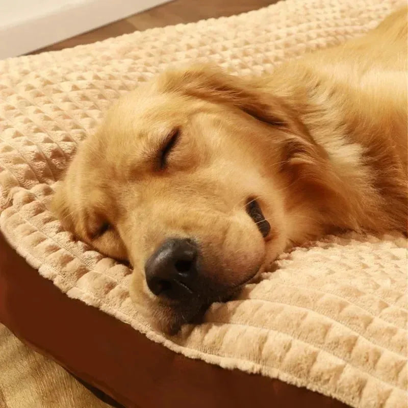 Coffee coloured dog bed with a detachable soft fleece blanket, shown with a cushion base for a large breed dog.