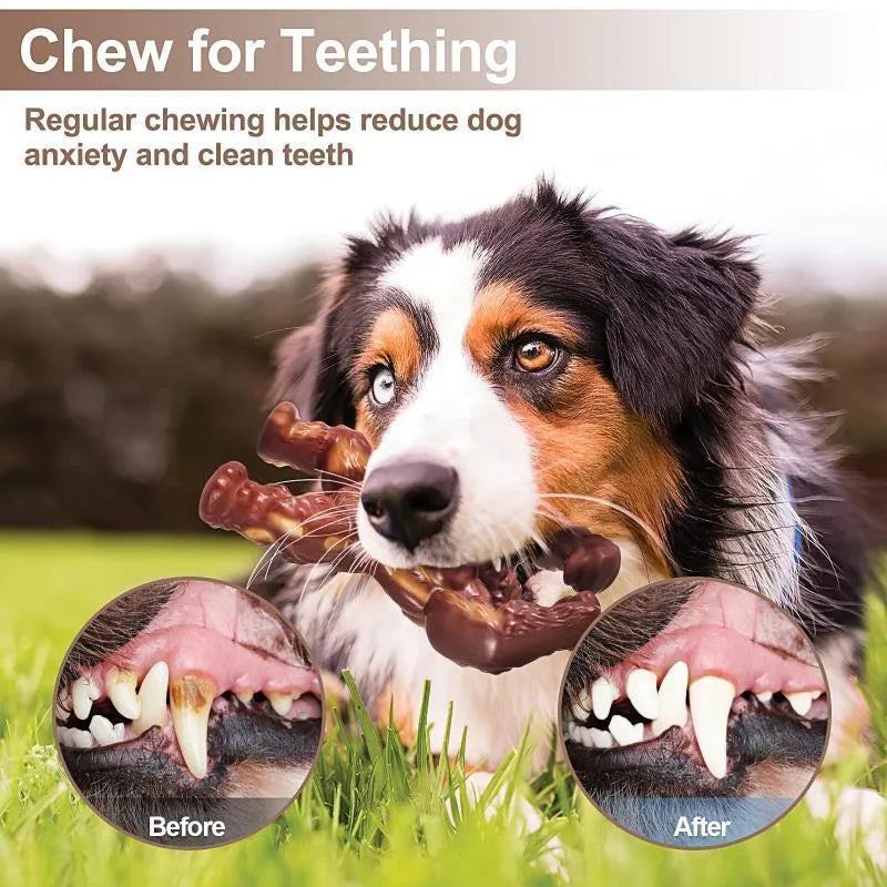 Scarlet red nylon dog chew toy with beef flavour measuring 10.7cm by 17.2cm