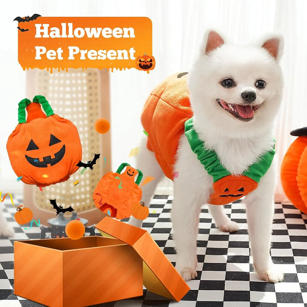 Orange plush pumpkin-shaped Halloween costume for a small dog, showing pullover design and soft texture.
