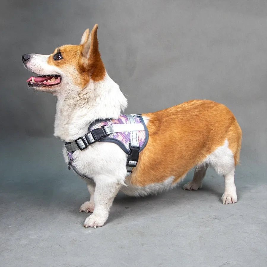 Colourful reflective dog harness with anti-strangulation design in camouflage patterns