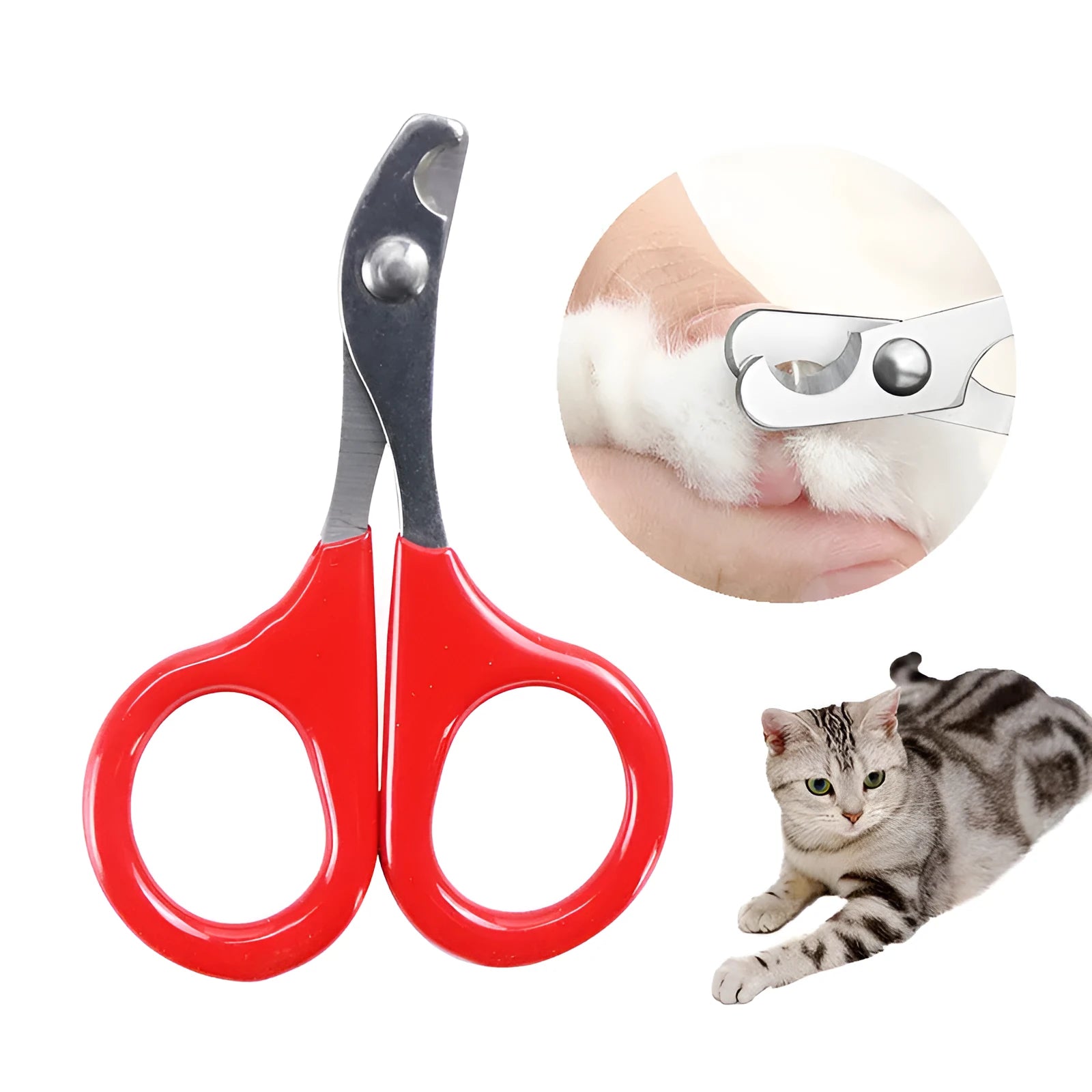 Professional pet nail clippers with stainless steel blade and coloured anti-slip handle.