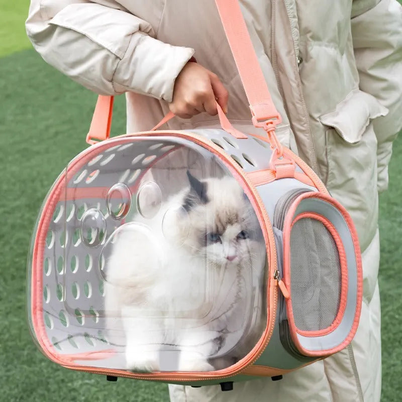 Transparent hard-shell space capsule backpack for a cat, shown in a choice of colours.
