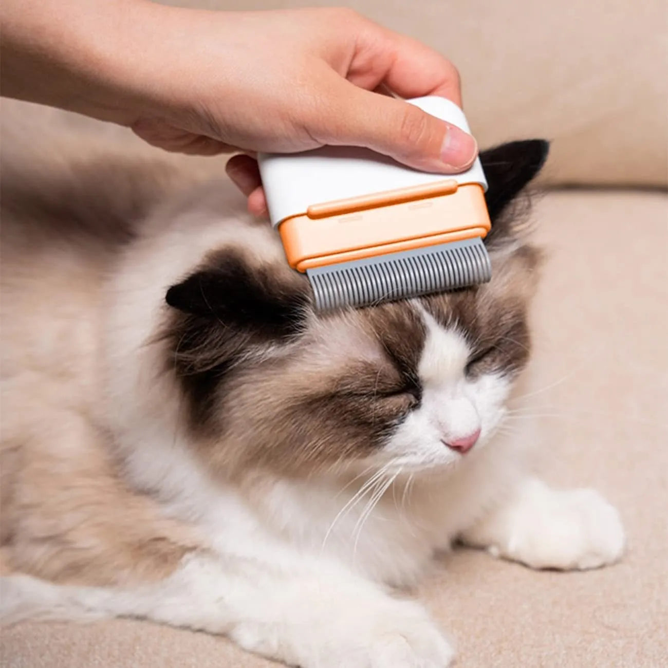 Blue double-sided pet grooming comb for deshedding and massage, shown next to a cat.