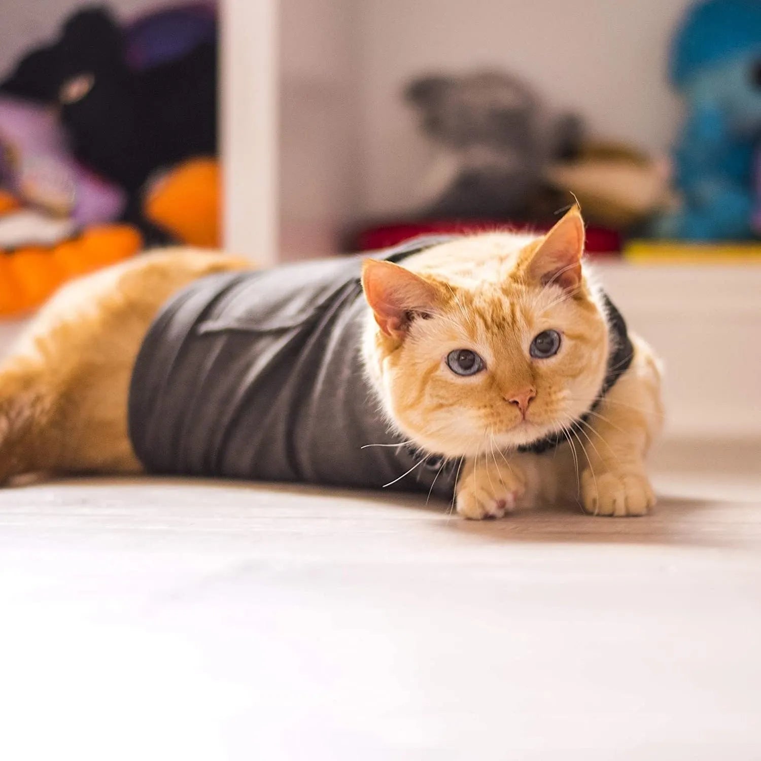 Dark gray polyester pet vest for dogs and cats, summer lightweight design, side view