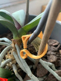 Cat-shaped plastic plant clip in red, yellow, green, or white, shown at 3x4 cm size.