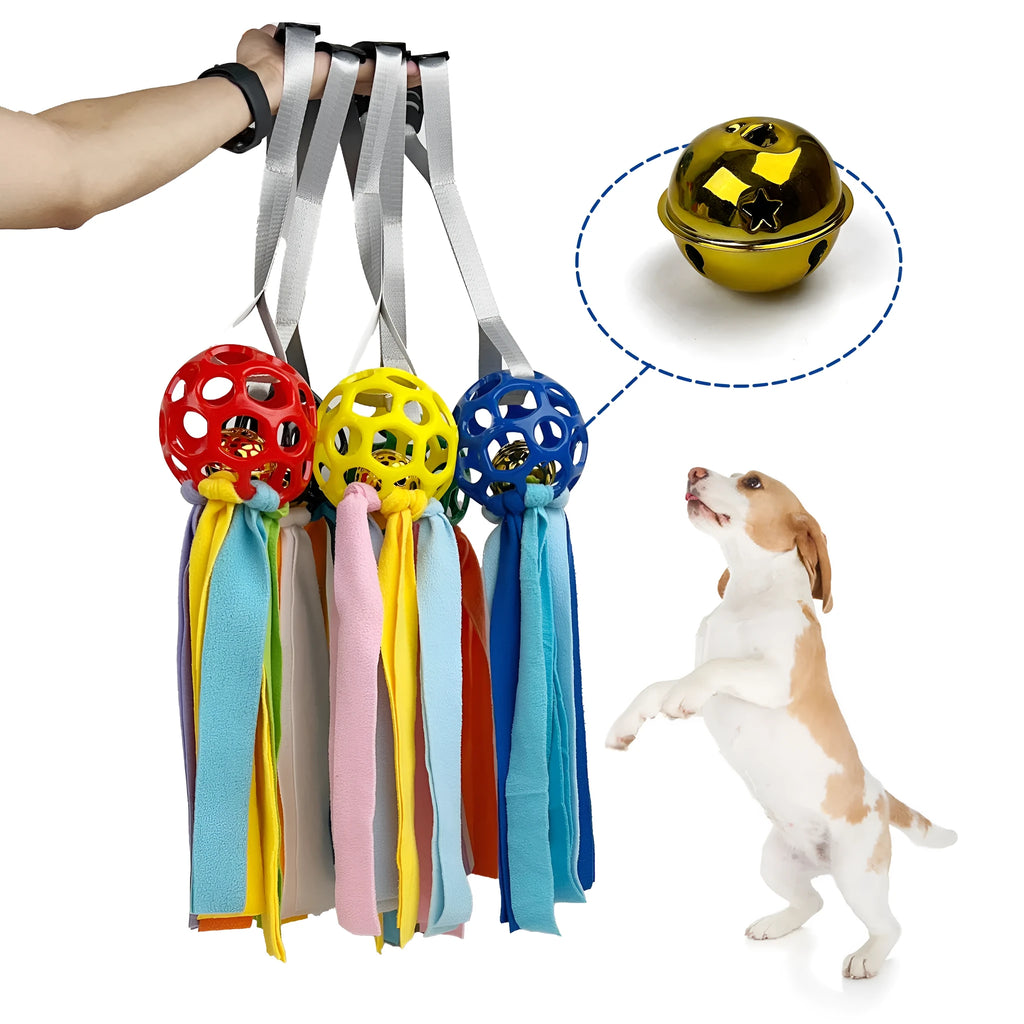 TPR hollow interactive toy ball with sound bell for dogs and cats in assorted colours.