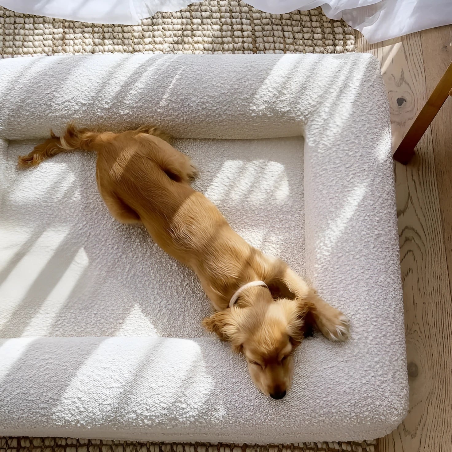 Beige rectangular cloth dog bed nest with raised edges, shown in medium size.