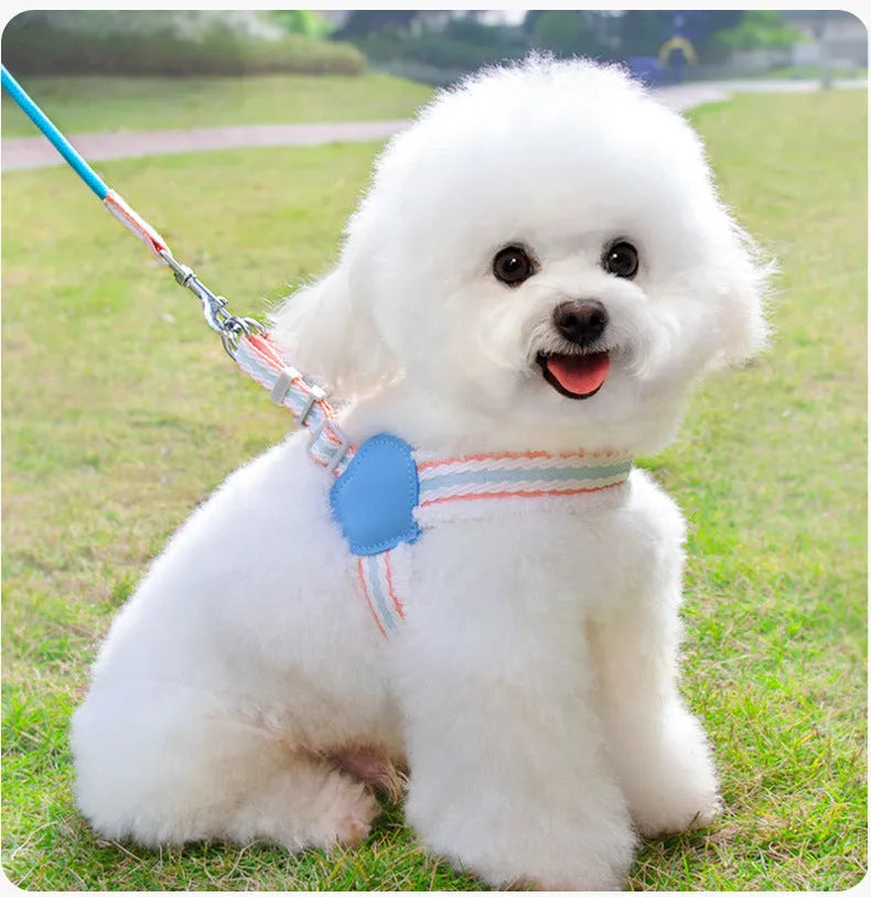 Blue breathable chest vest dog leash 1.5m for small medium dogs like Corgi Shiba Inu Bichon