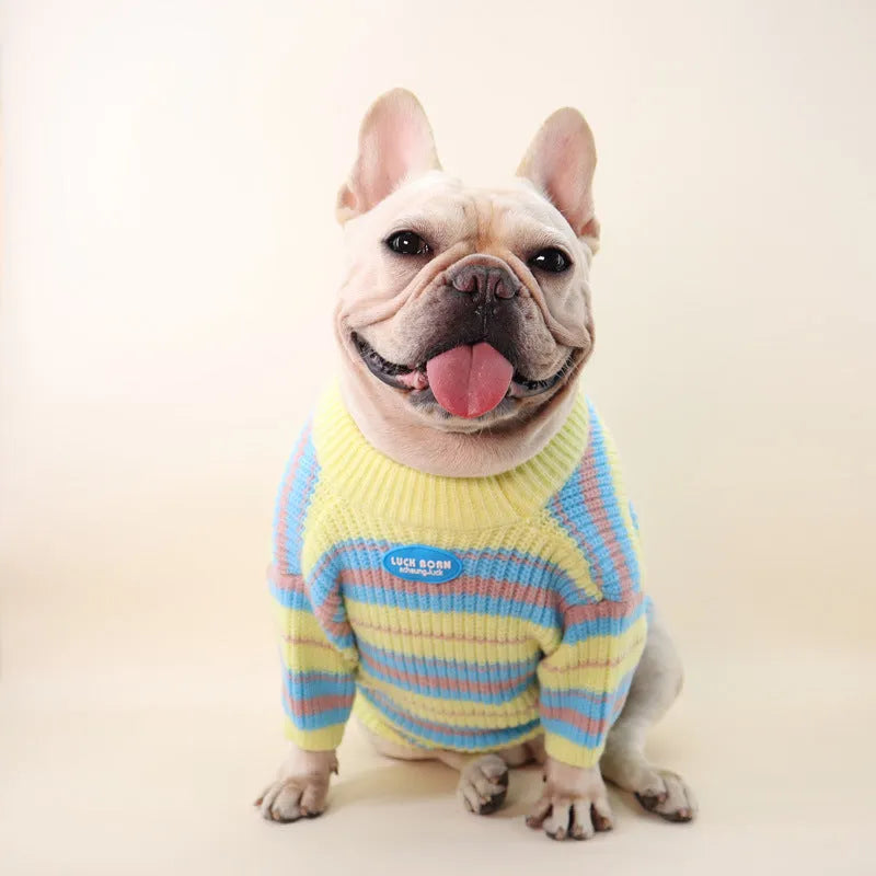 Blue and yellow striped wool knit sweater for a small dog on a white background.