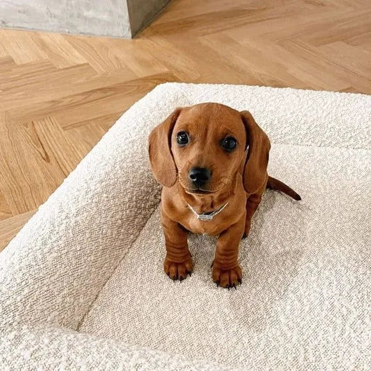 Beige rectangular cloth dog bed nest with raised edges, shown in medium size.