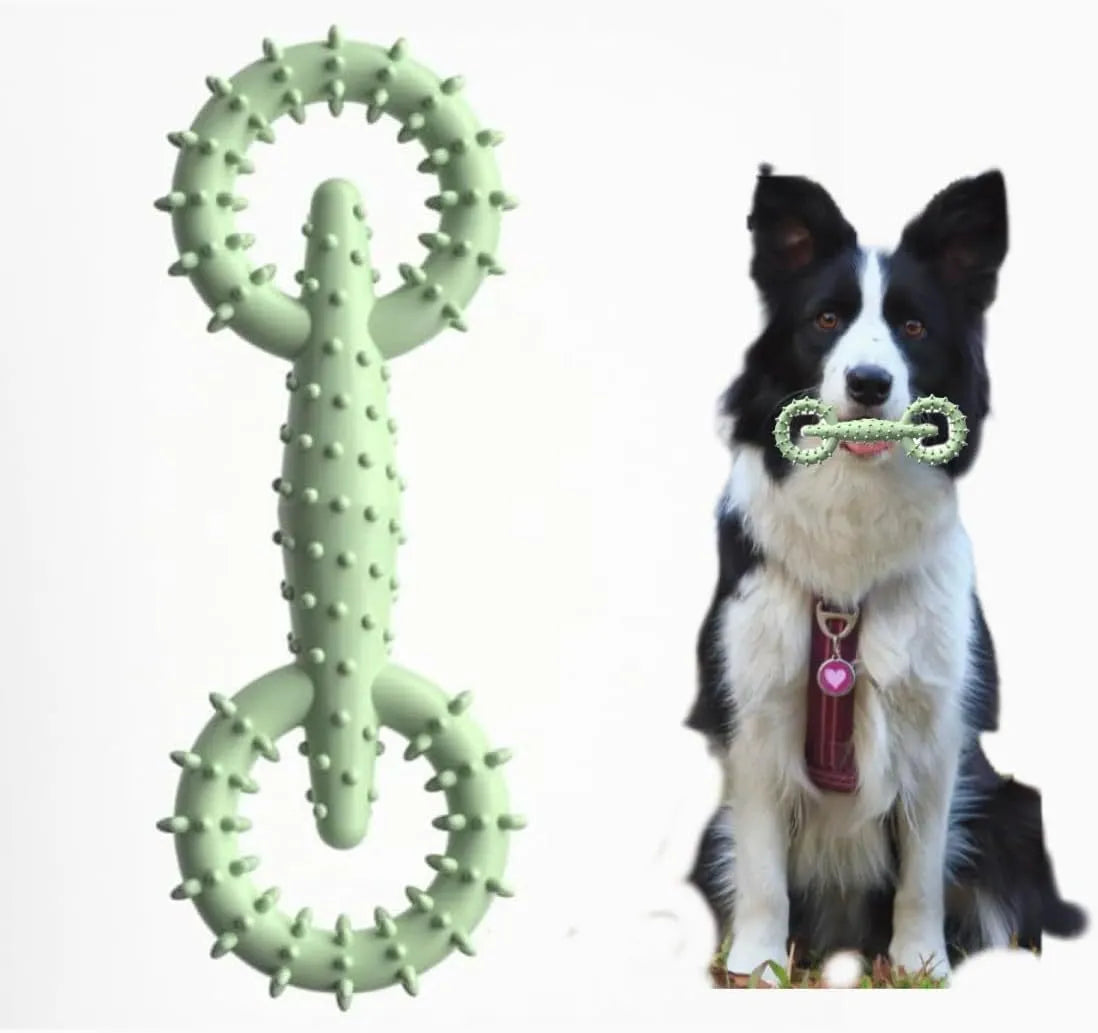 Blue TPR dog chew toy ring with chew board texture, shown beside measurement scale indicating 16cm diameter