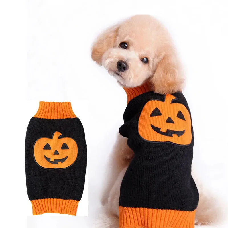 Dog wearing a knitted pumpkin sweater in orange black pumpkin colour, standing on a wooden floor