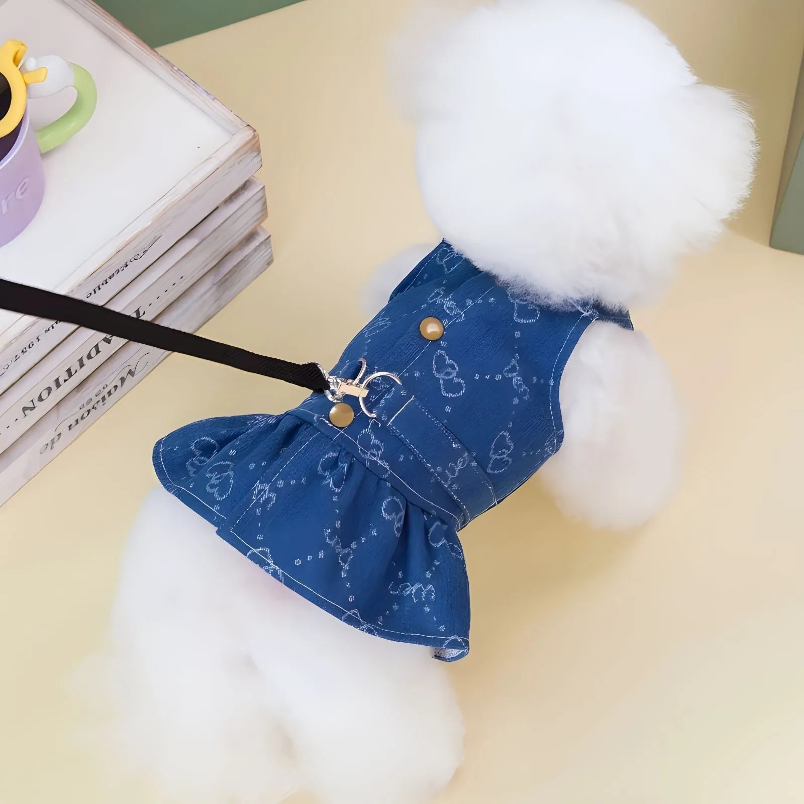Bichon Frise dog wearing a light blue denim princess dress with a bracket skirt.