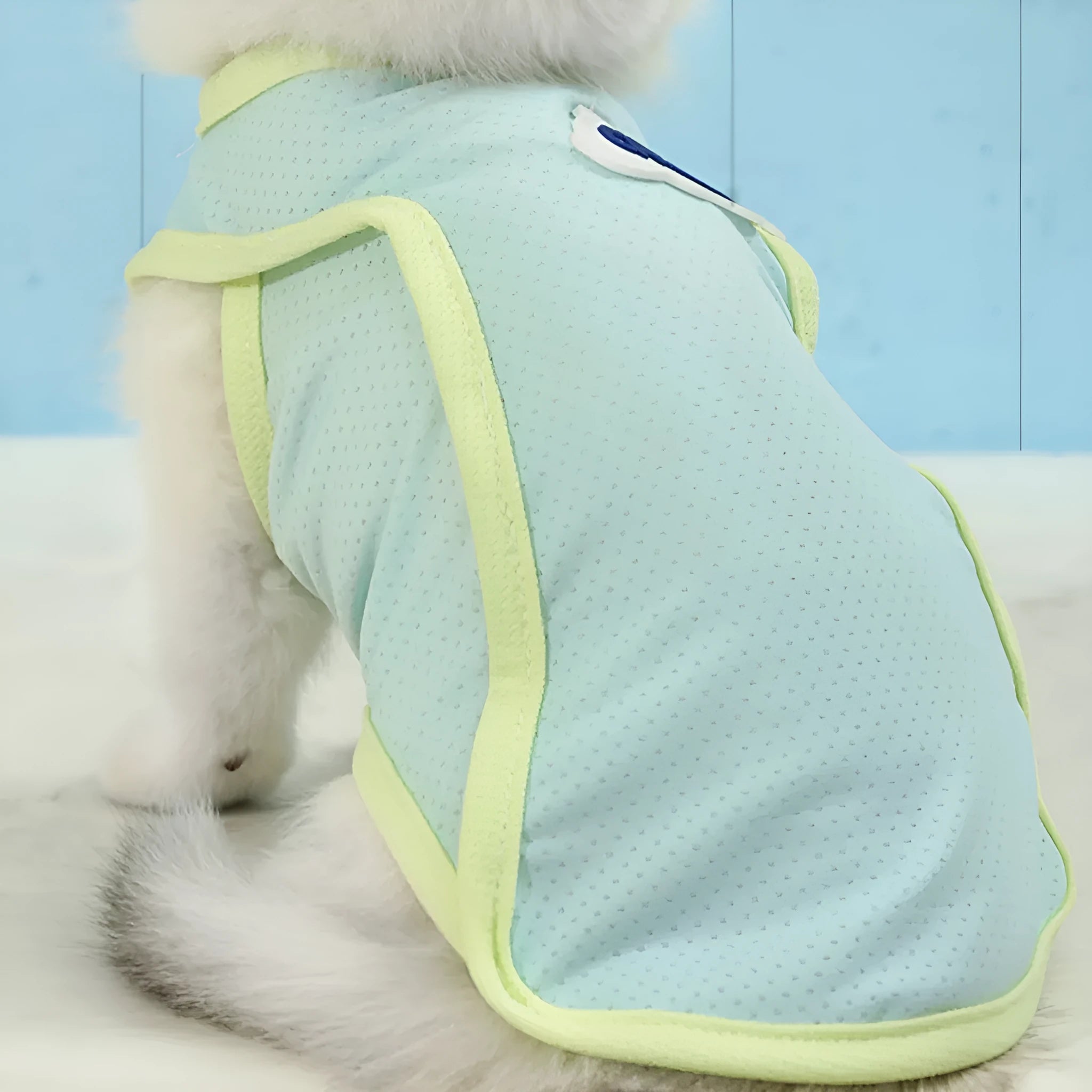 Grass green thin mesh cat vest with anti-lint polyester material on a cat.