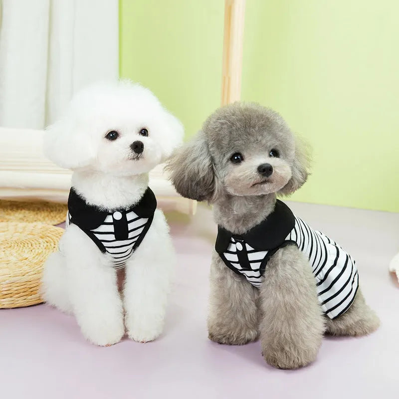 Pet wearing matching summer stripes T-shirt and skirt set for dogs or cats