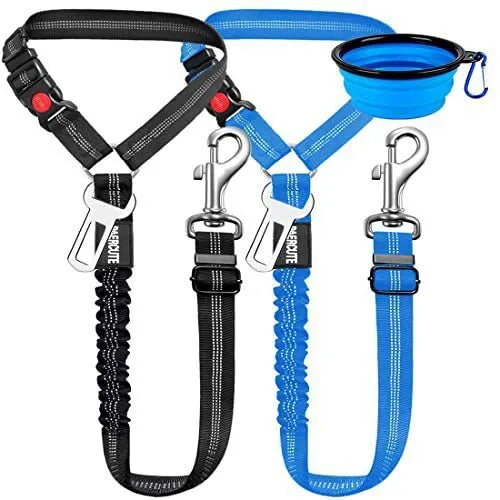 Nylon dog leash with metal buckle in one of eleven colours including army green, black, pink, and red.