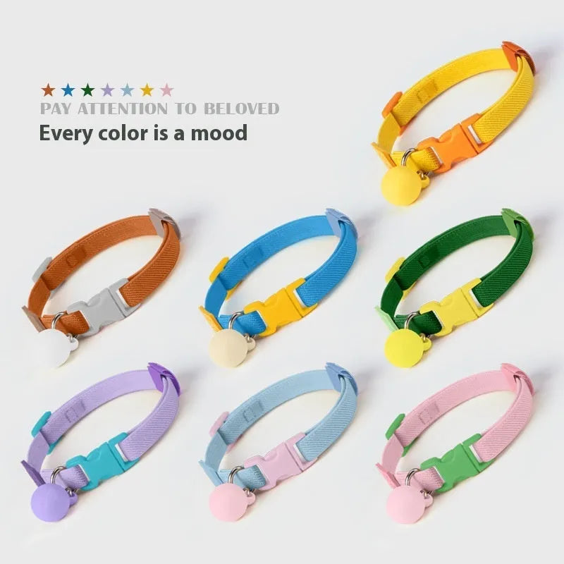 A simple, solid-colour elastic pet collar for small dogs, laid flat on a surface.