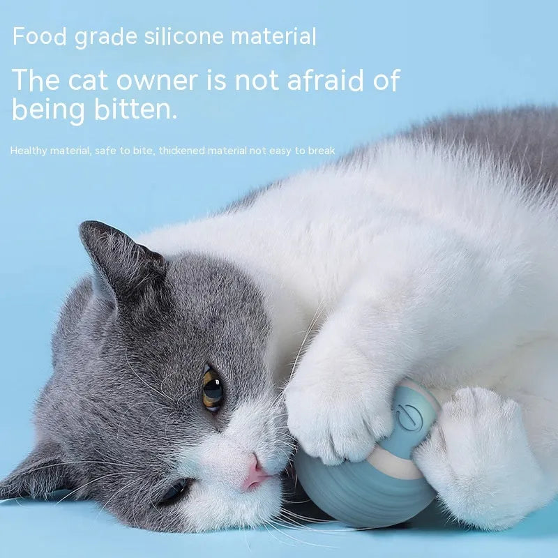 Blue rechargeable automatic rolling ball cat toy on a floor.