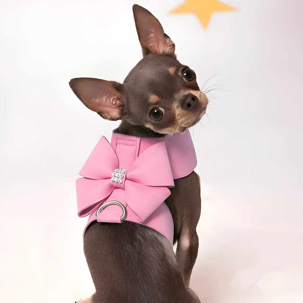 A pink microfiber puppy chest strap with a bowknot, shown alongside blue and orange options.