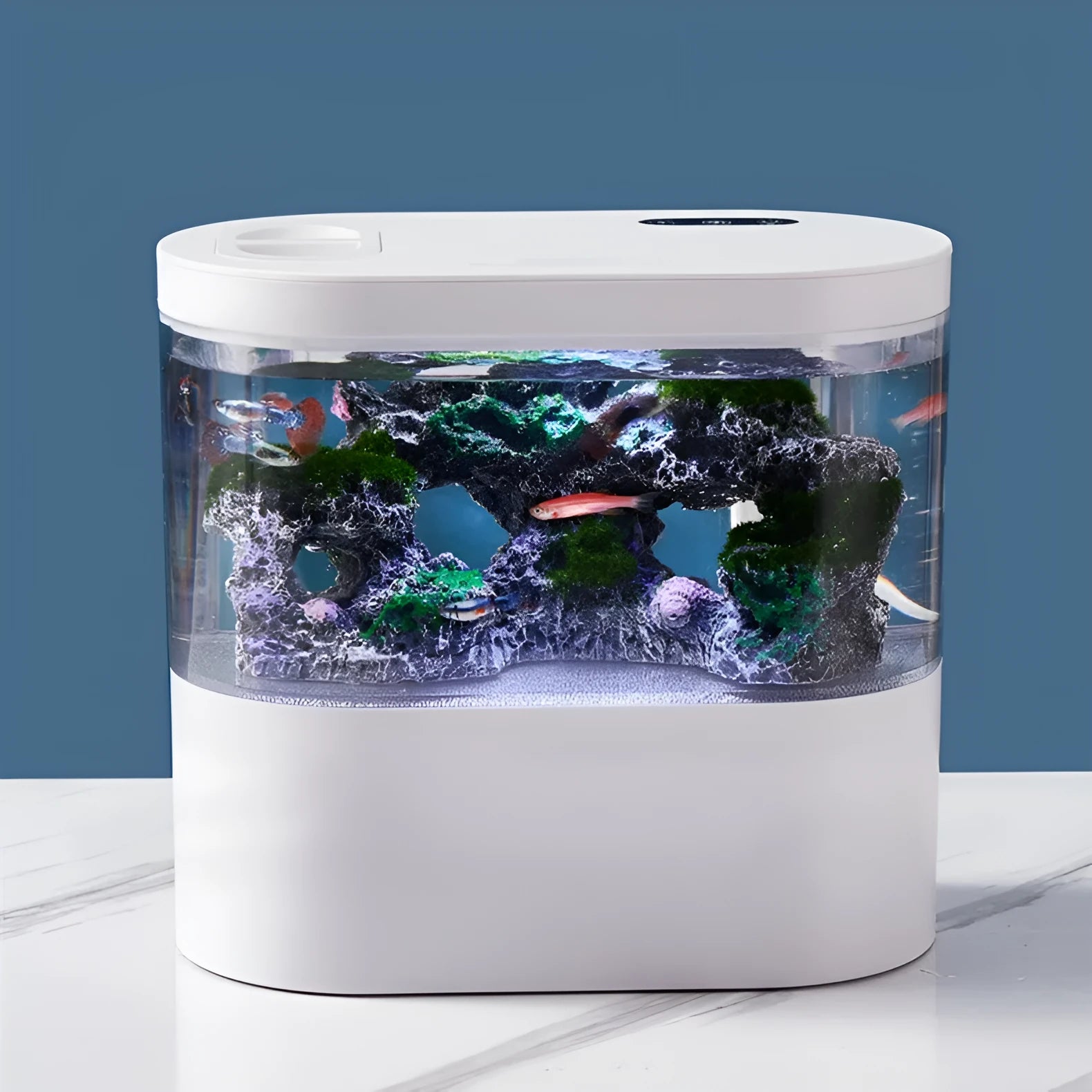 Desktop self-circulation mini aquarium with LED light and USB pump in black plastic
