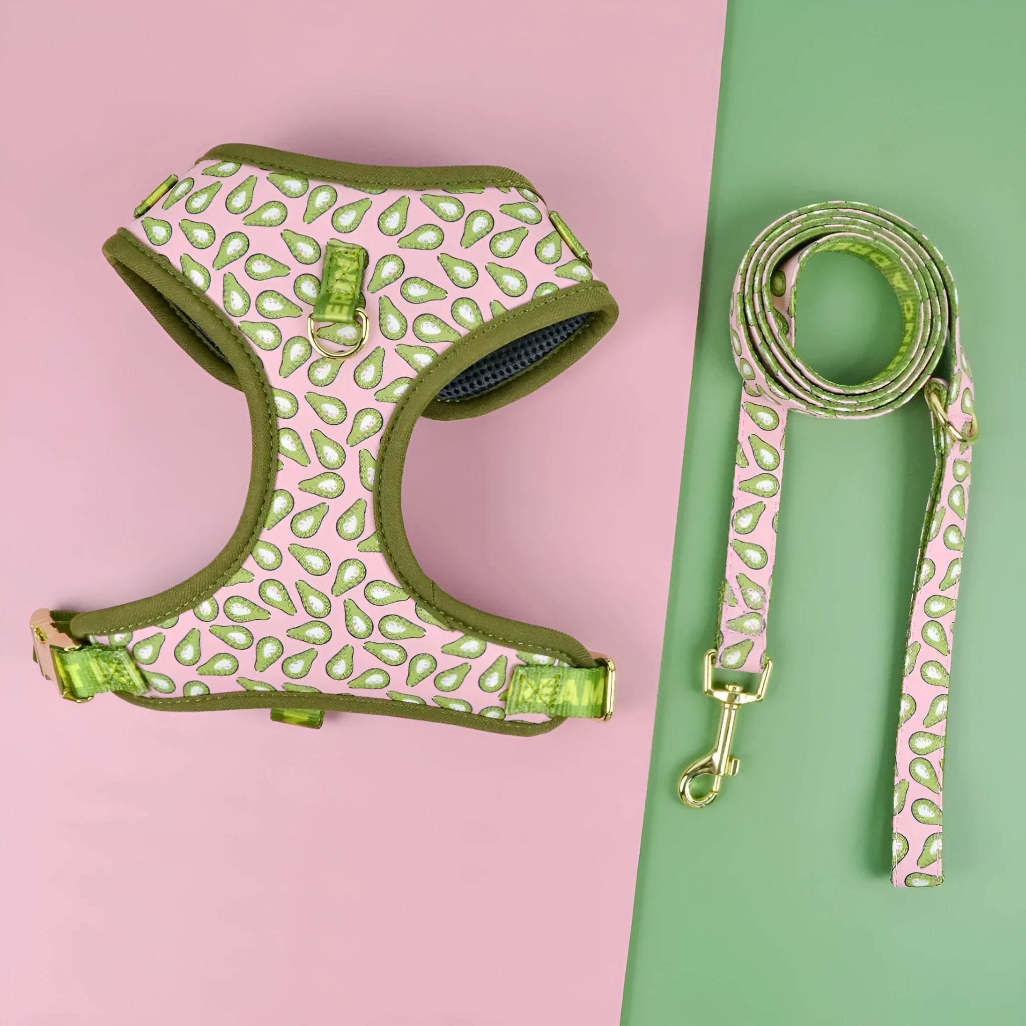 Summer colours dog harness and leash set for medium large dogs chest-back design