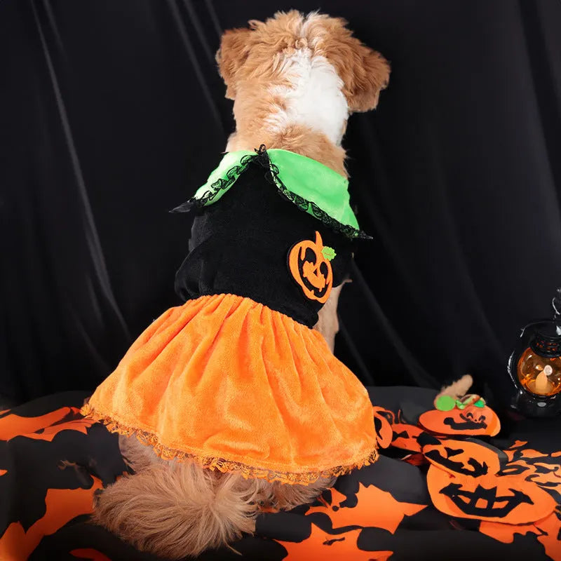 Halloween pumpkin skirt and sweater pet costumes in crystal velvet for small dogs and cats