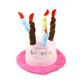 Blue plastic birthday party hat for a small to medium sized dog