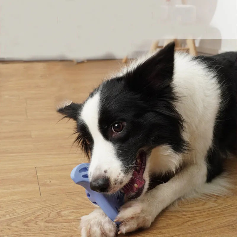 Blue durable dog chew toy shaped like a boomerang or molar for medium and large breed dogs.