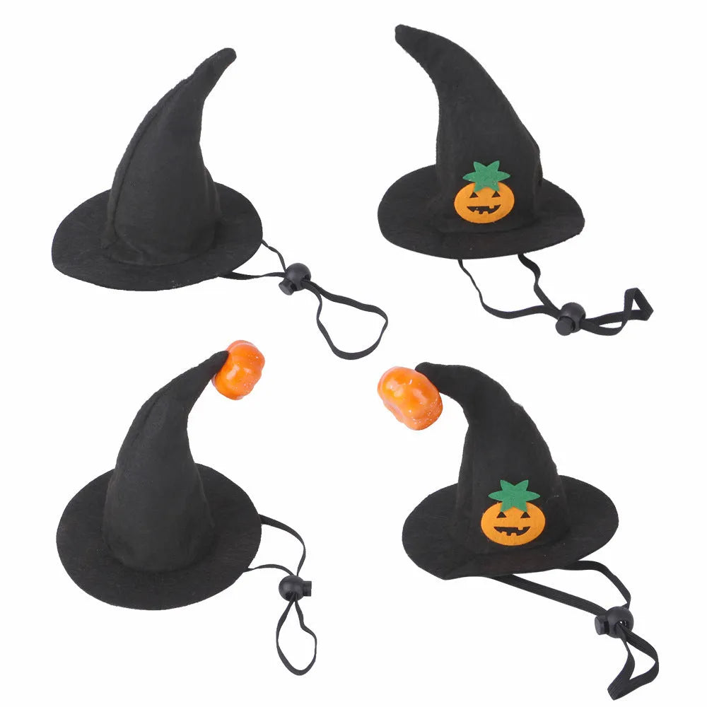 Embroidered cloth pet Halloween hat showing pumpkin design on cat