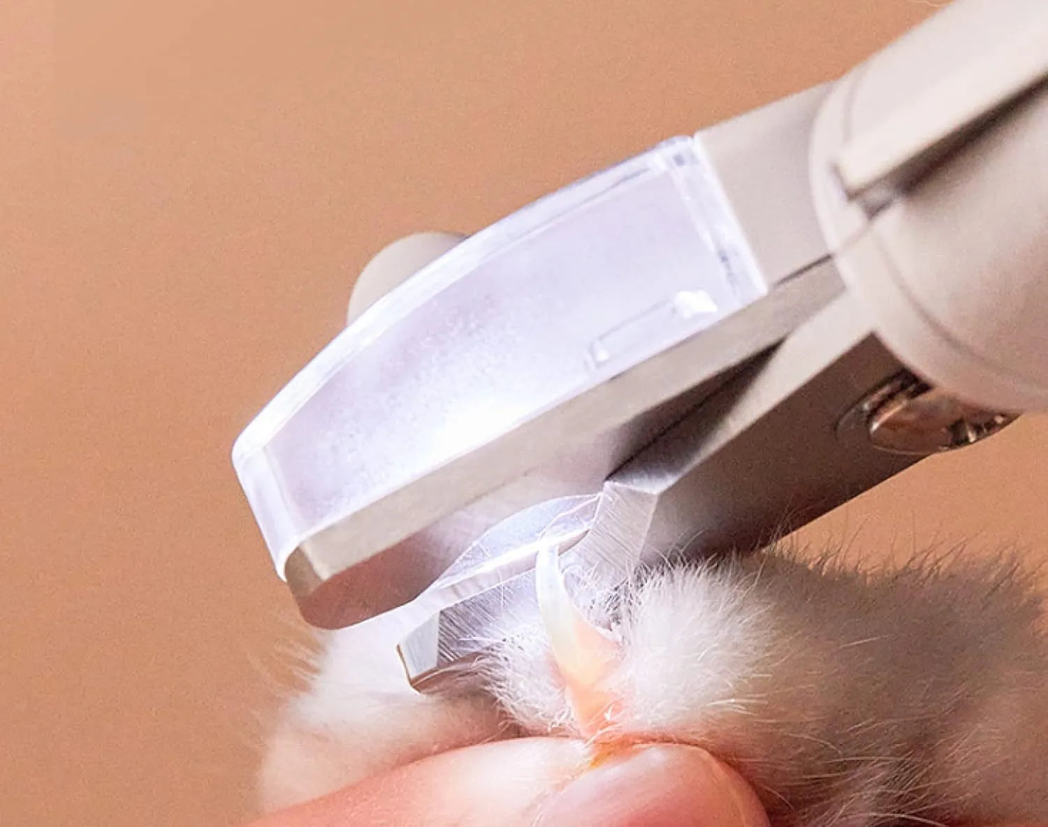 White LED pet nail clippers with a transparent guard open, showing the triangular blade and integrated nail file.