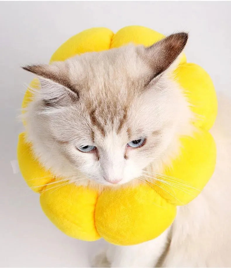 Sunflower patterned cotton pet recovery collar with adjustable band for post-surgical protection