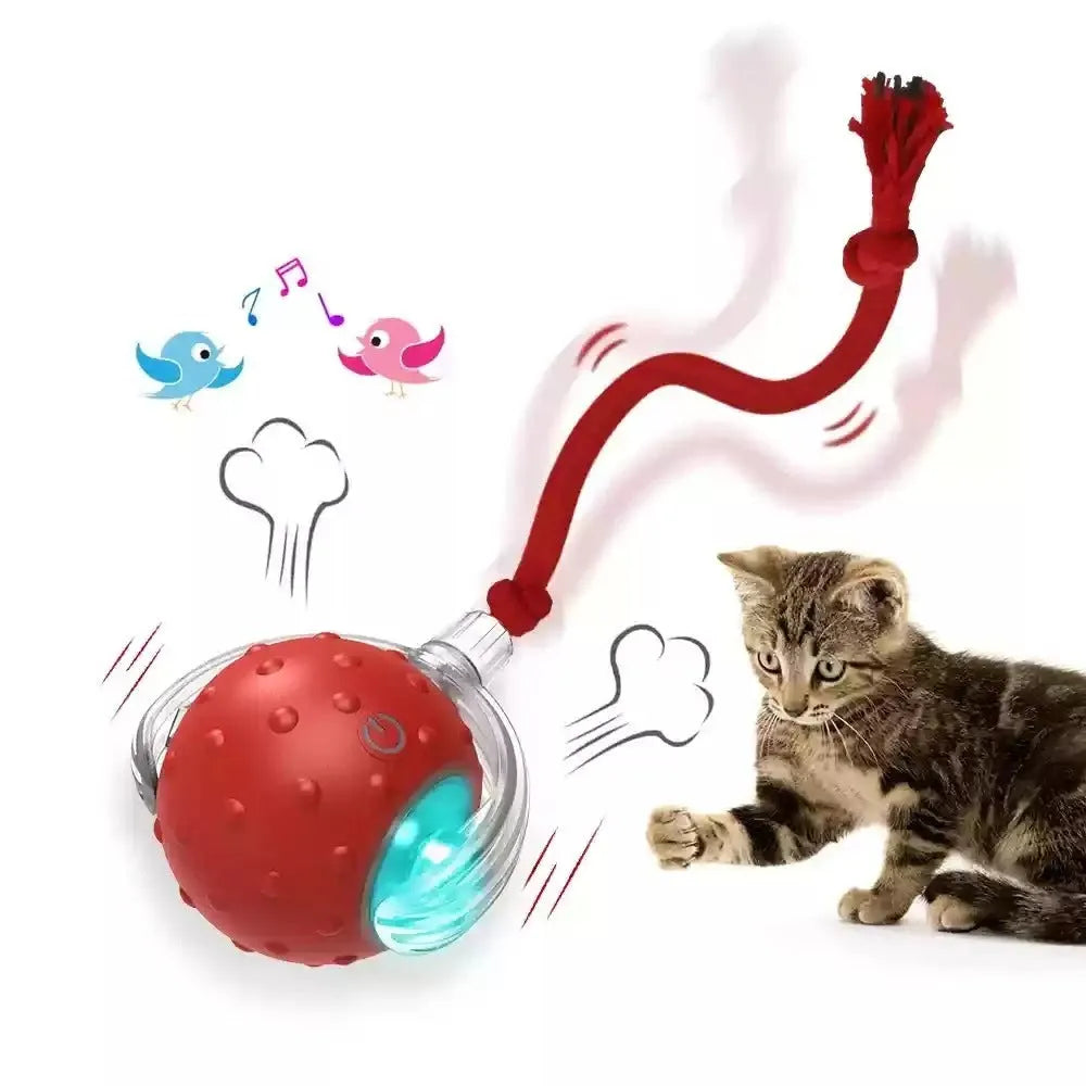 Red cat rolling ball toy with jingle bell for interactive indoor play with cats and kittens