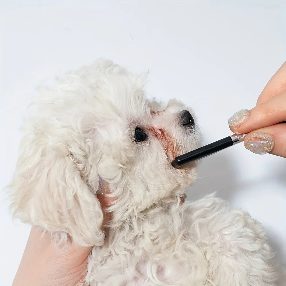 Pet grooming brush with soft bristles and comb for dogs and cats tear stain removal