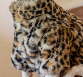 Fluffy leopard pattern short plush cat coat for hairless breeds on a Sphynx cat