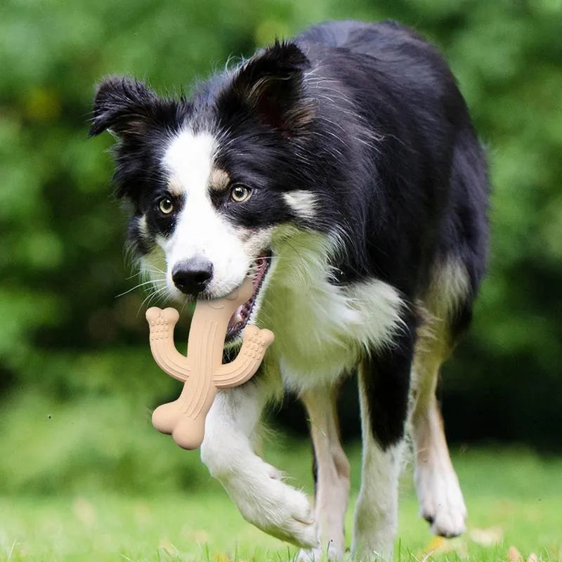Cactus-shaped dog chew toy in beige, blue, or purple, made from bamboo fibre and rubber.