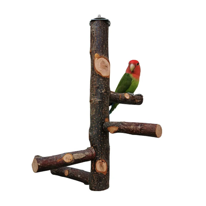 Apple wood parrot stand toy with bite string and natural colour perches