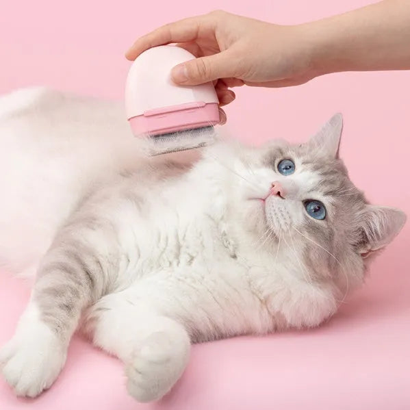 Cat hair comb plastic grooming tool to remove floating fur available in multiple colours