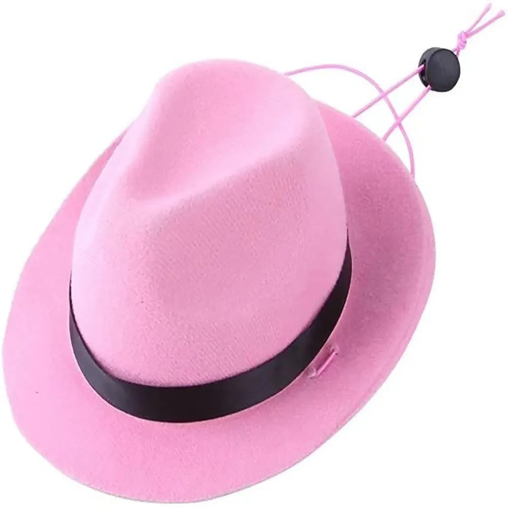 Small pink felt hat for a dog, shown as a sun protection and costume accessory.